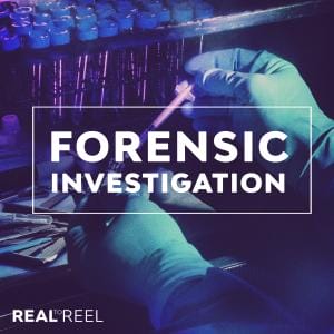 Forensic Investigation ALBUM COVER