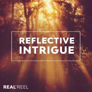 Reflective Intrigue album cover